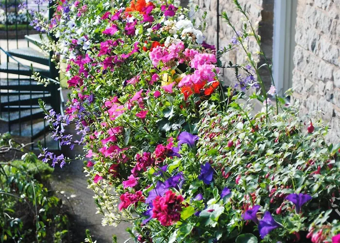 Country house The Melbreak